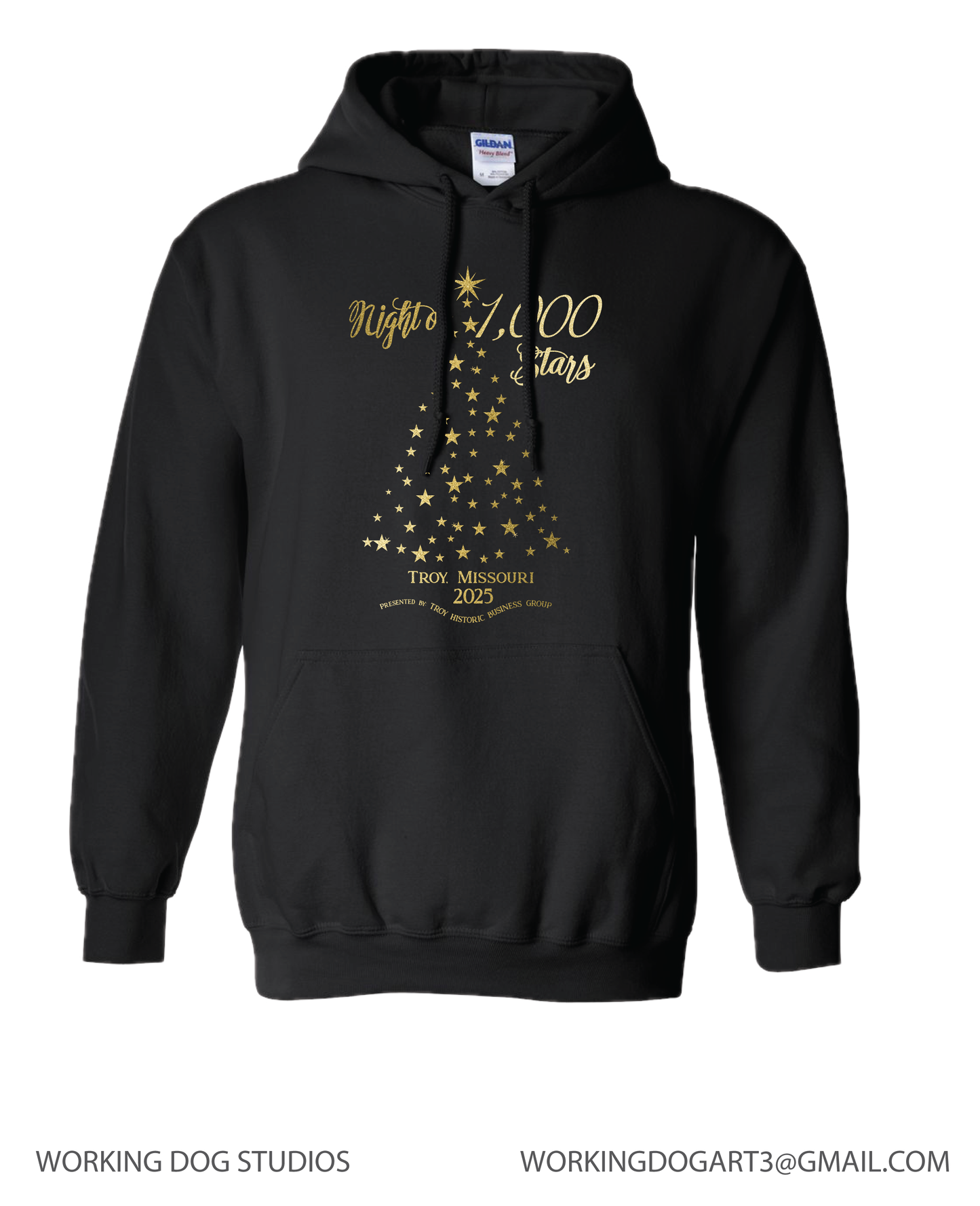 TROY NIGHT OF 1,000 STARS 2025 Hooded Sweatshirt