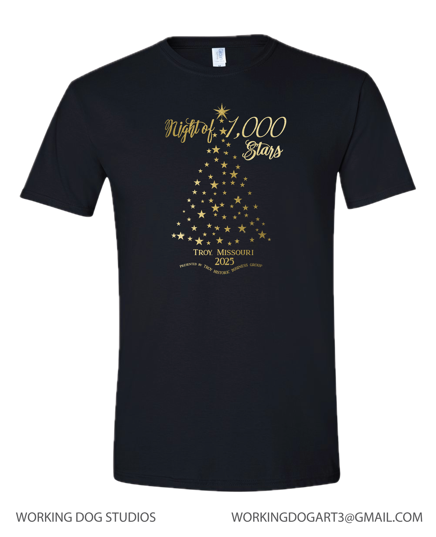 TROY NIGHT OF 1,000 STARS 2025 T-shirt