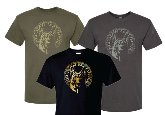 Belgian Malinois Versatility T